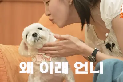 소녀시대 서현, 뽀뽀 거부하는 반려견 '뽀뽀' 자랑에 강형욱 웃음 폭발