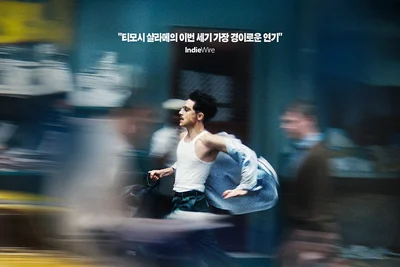티모시 샬라메 인생 연기 '마티 슈프림' 드디어 국내 개봉 확정