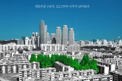 콘크리트가 삼킨 추억과 나무가 간직한 시간…다큐 '콘크리트 녹색섬'이 던지는 묵직한 질문