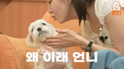 소녀시대 서현, 뽀뽀 거부하는 반려견 '뽀뽀' 자랑에 강형욱 웃음 폭발