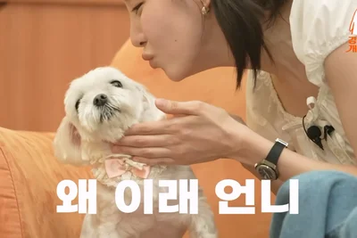 소녀시대 서현, 뽀뽀 거부하는 반려견 '뽀뽀' 자랑에 강형욱 웃음 폭발